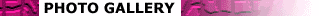 photo.gif (3703 bytes)